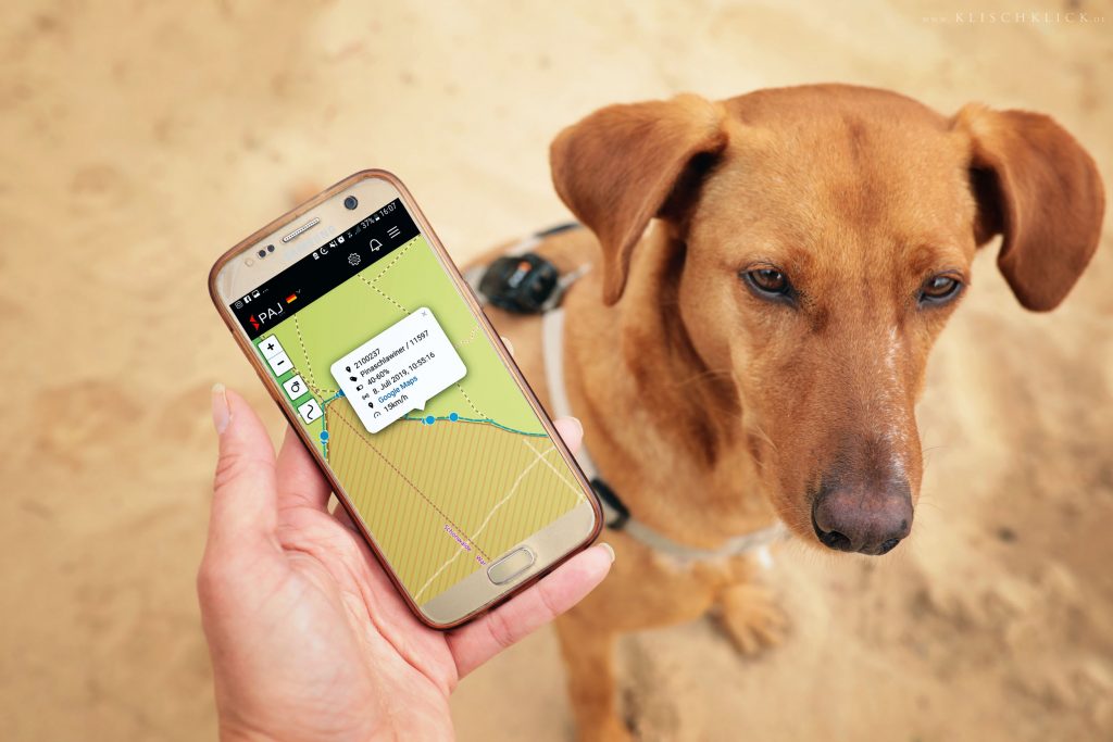 Mejor GPS para mascotas