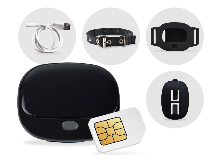 PET FINDER 4G accesorios