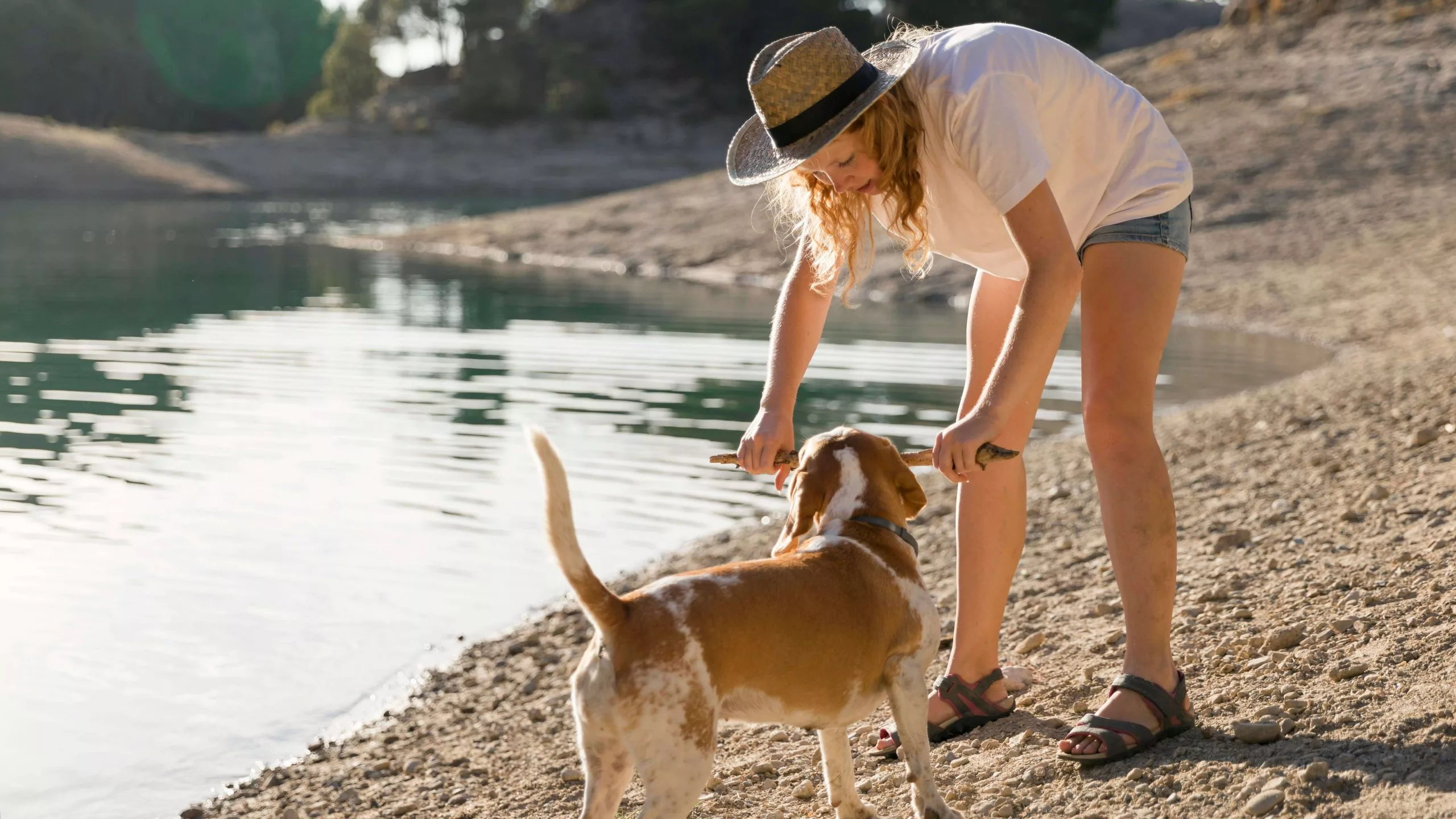 Excursiones con perros en primavera