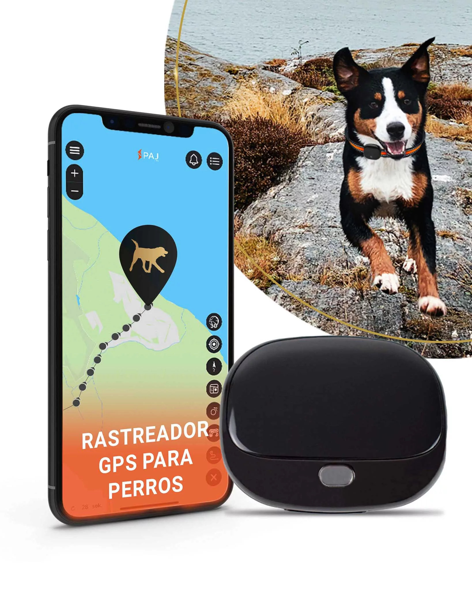 4G GPS collar para perros de caza localizador GPS perros IP67