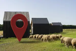 ¿Porqué los localizadores GPS en explotaciones ganaderas son una buena opción?