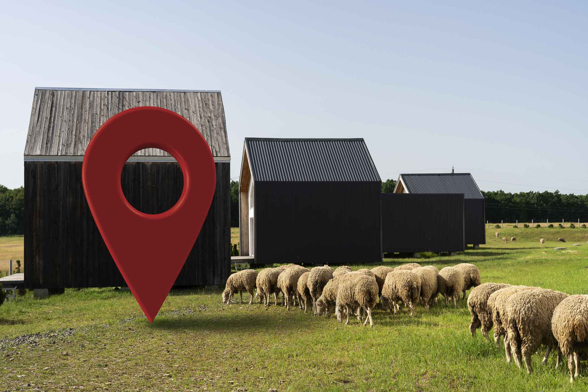 localizadores GPS en explotaciones ganaderas