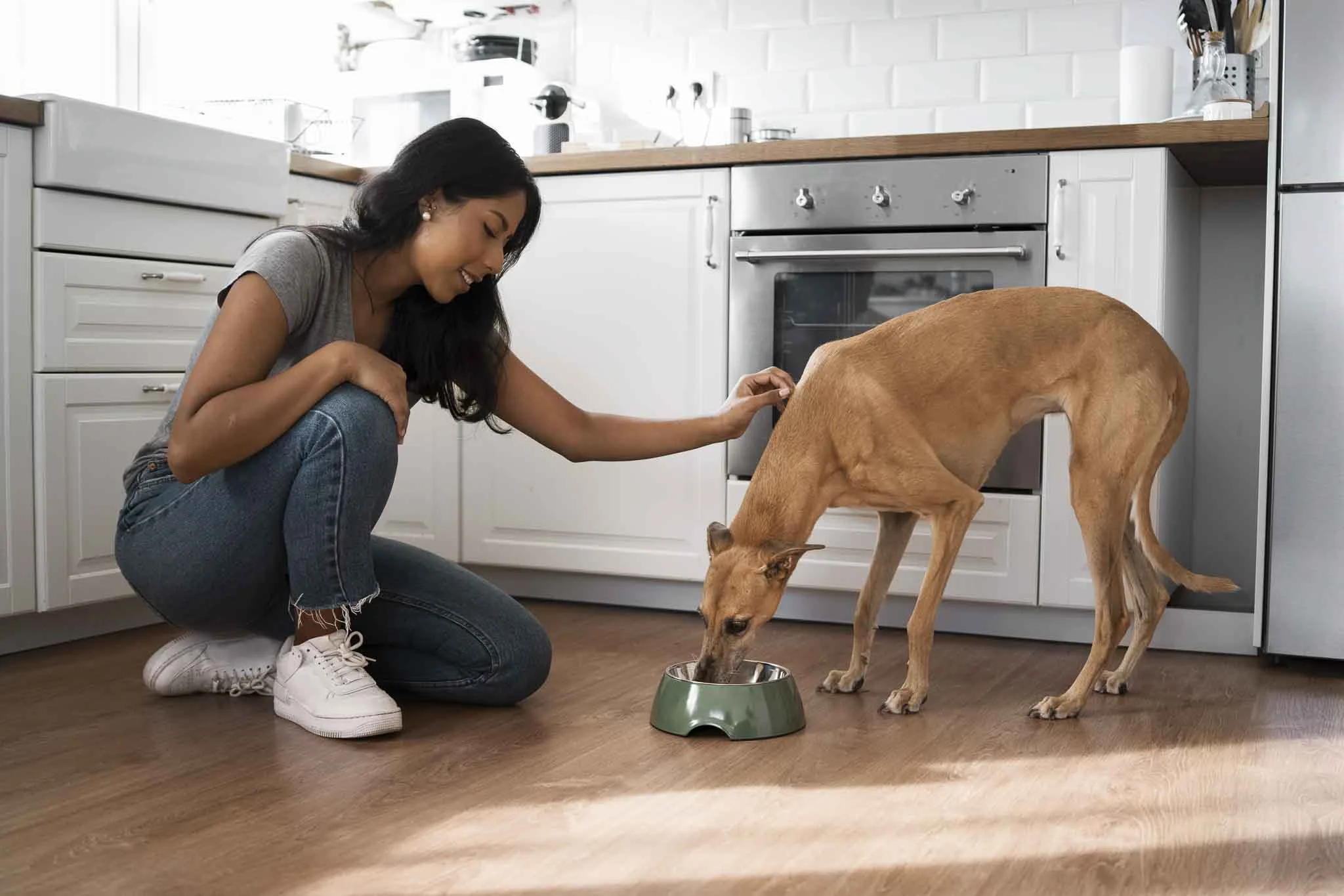 Perro comiendo con su humana