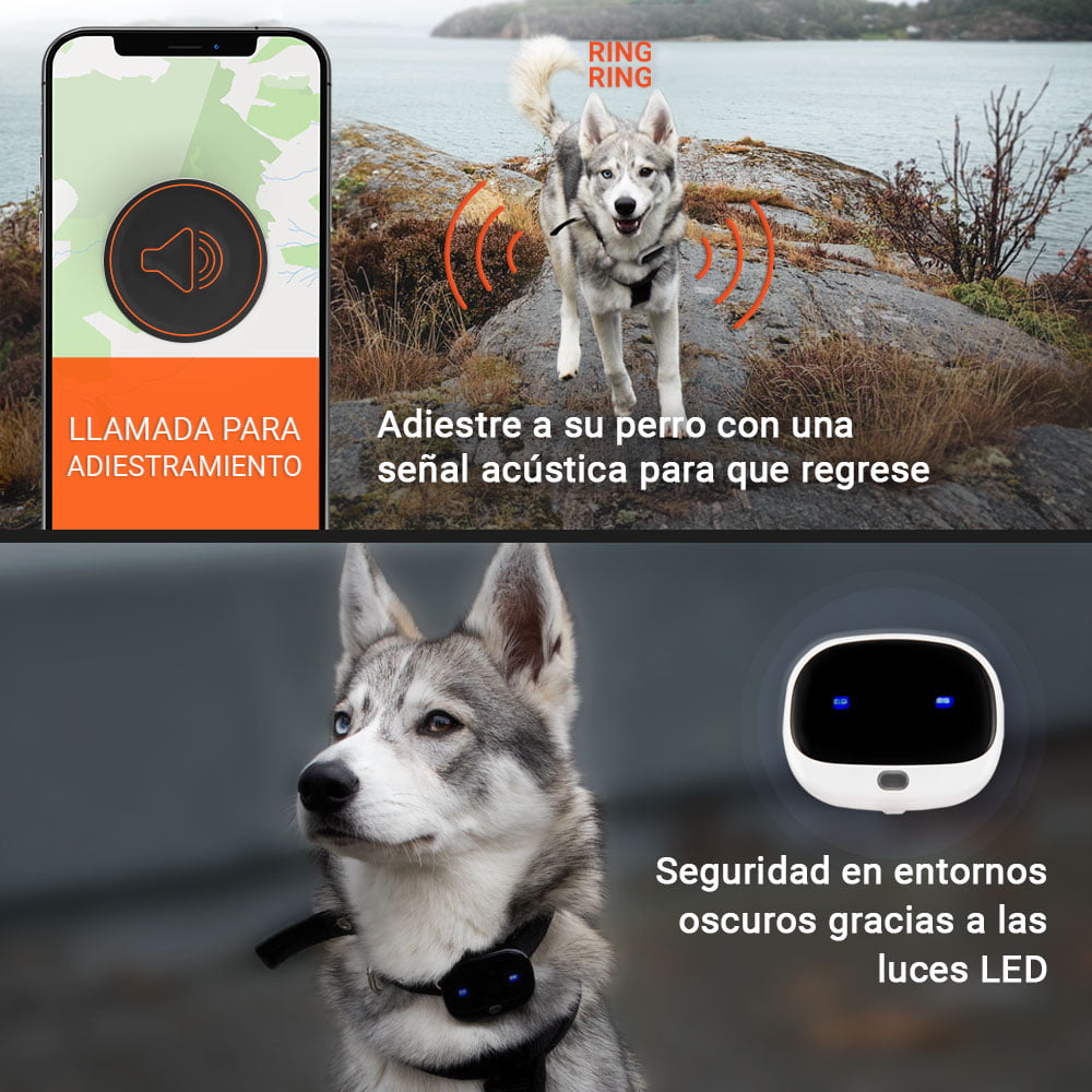 GPS para perros y gatos - Mascotas Fit