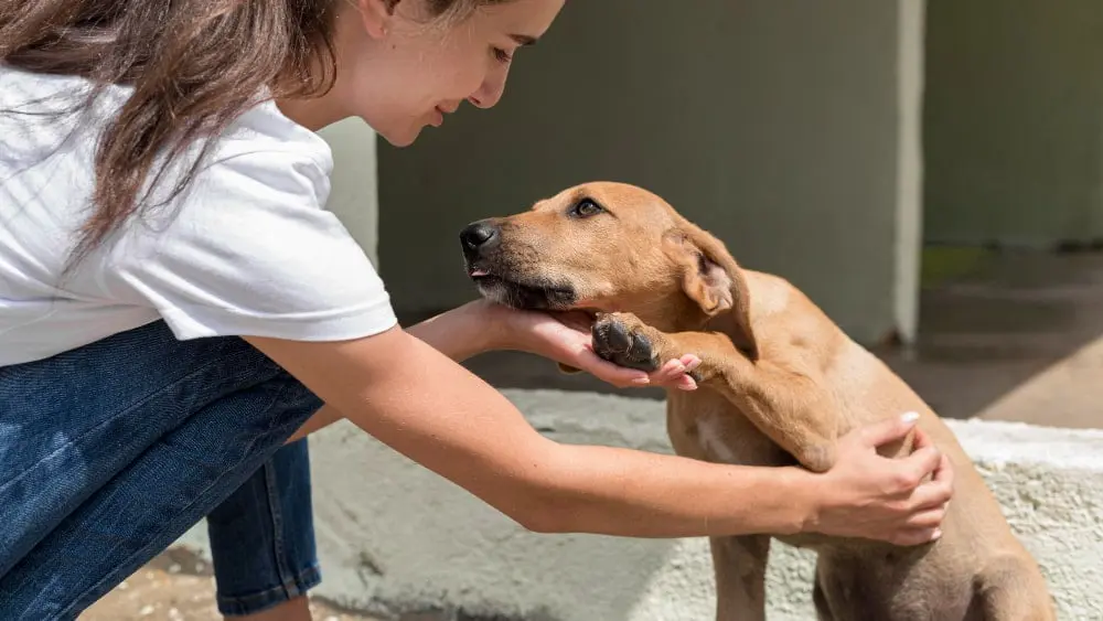 Mujer jugando con su mascota