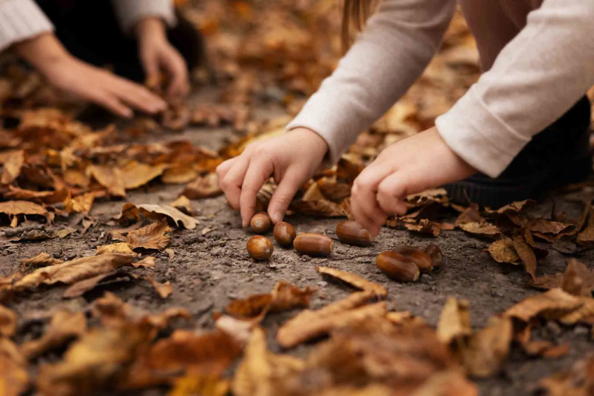 Ñinos jugando en otoño en el parque juntando castañas