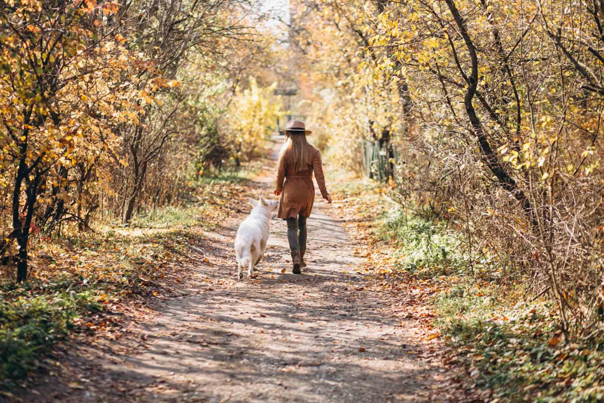 Paseando con su perro en otoño por el campo