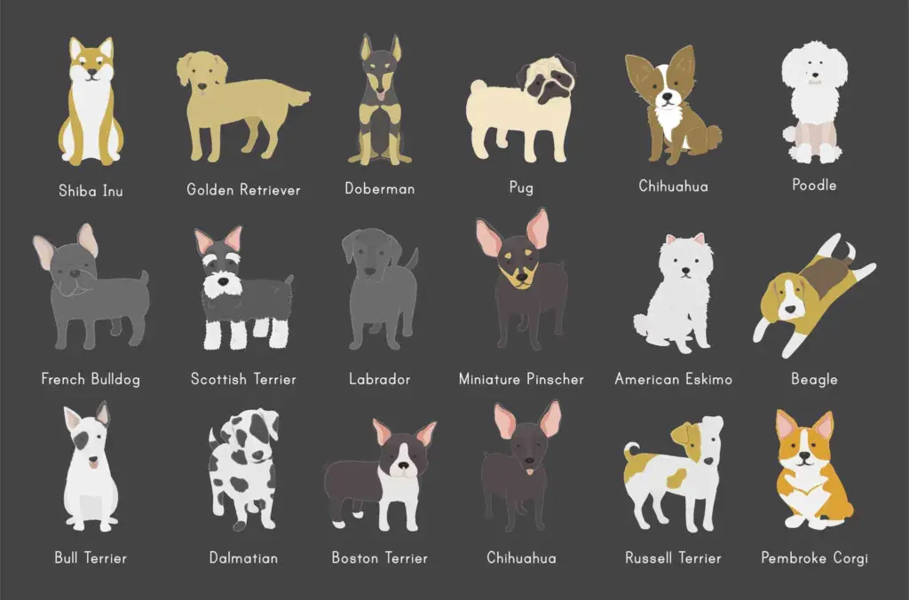 Razas de perros pequeños