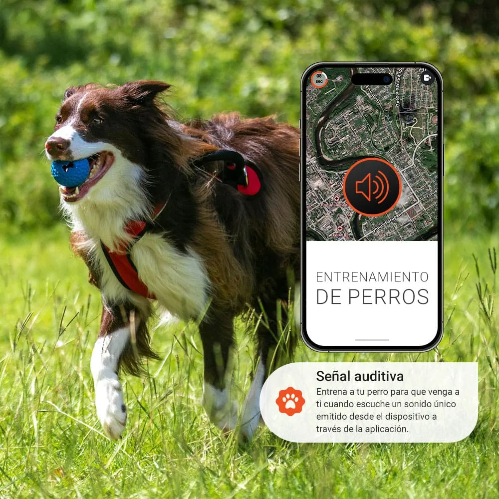8.Adiestramiento-Perros-Funcion-llamada-PAJ-PET-Finder-4G-gris-PAJ-GPS-Tracker