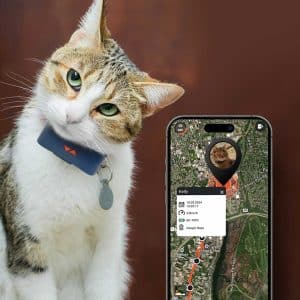 Localizador GPS para Gatos