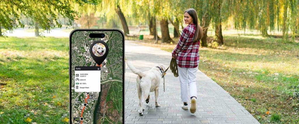Parques para perros
