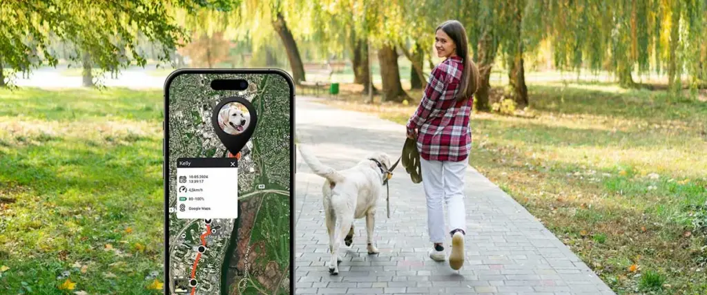 Parques para perros
