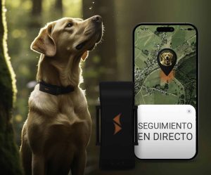Nuevo Pet Finder 4G