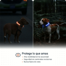 2.PAJ-LIGHT-LED-collar-para-perros-PAJ-GPS