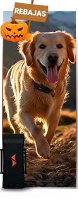 Venta para localizadores gps para perros PAJ GPS