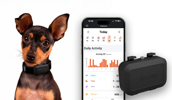 Minilocalizador PET Finder de PAJ