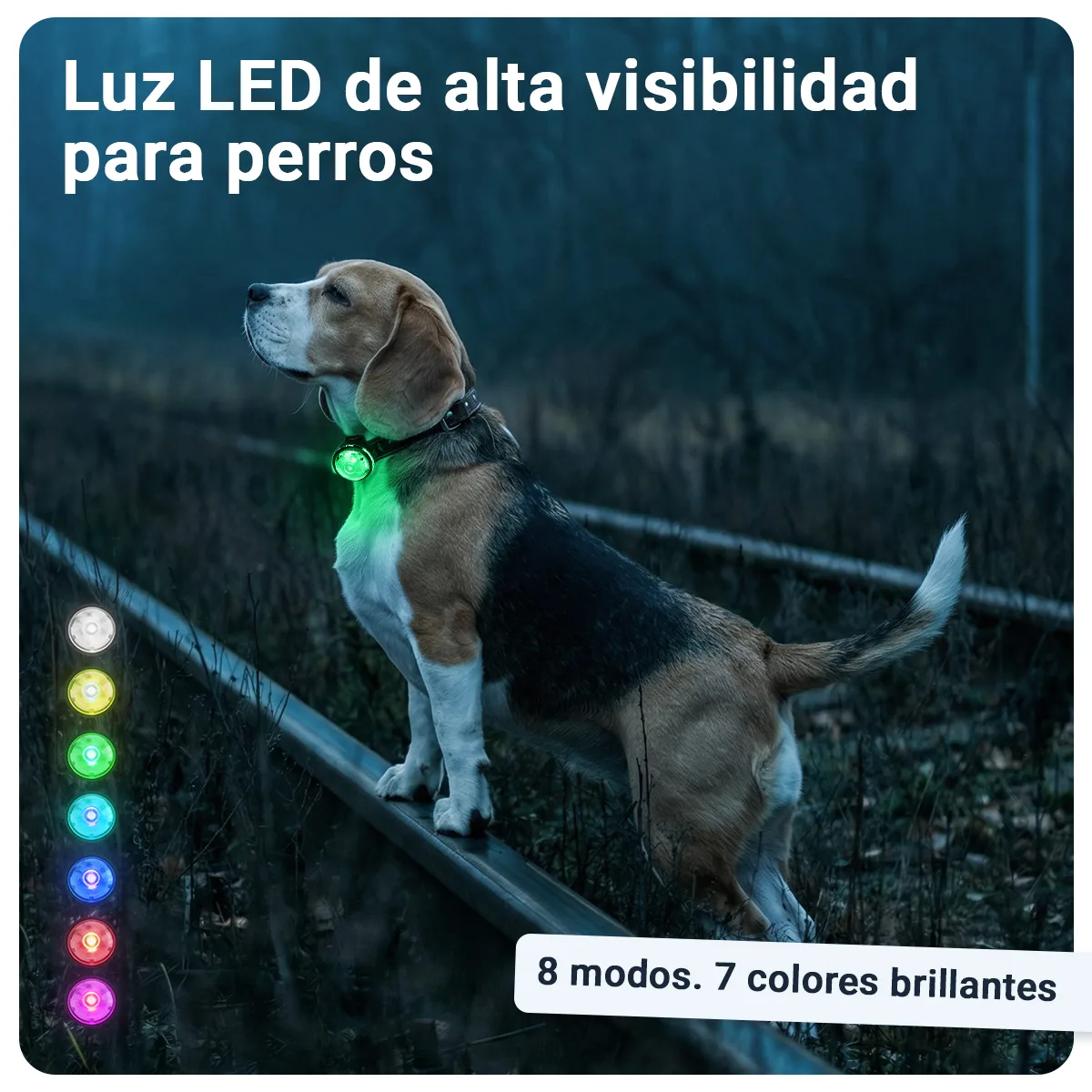 Gallery Images_PAJ Light Mini - ES - KB - 05 March 2026 - 2. 8 Modes