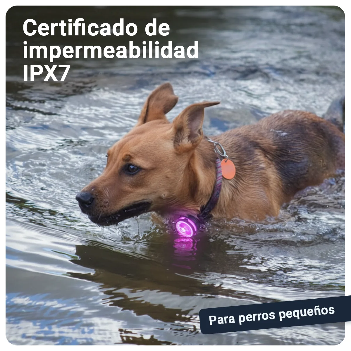 Gallery Images_PAJ Light Mini - ES - KB - 05 March 2026 - 3. IPX7