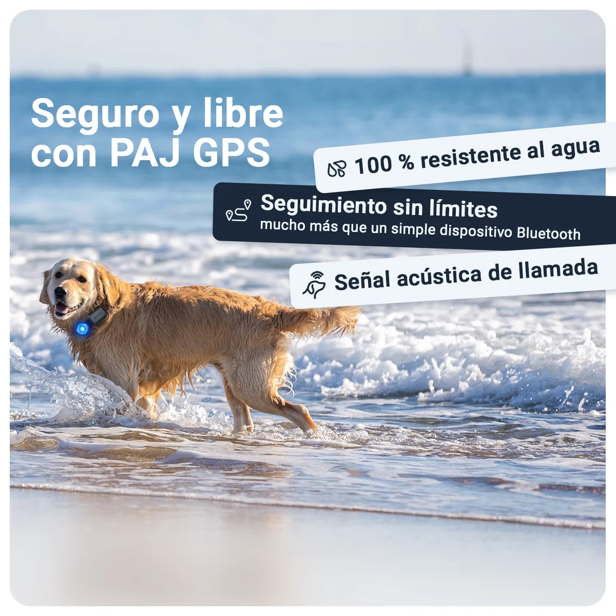 PET Finder 4G Mini