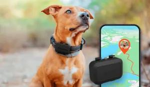 Mini localizador de perros Pet Finder