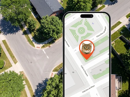 seguimiento en vivo de la gata Luna en el portal Finder