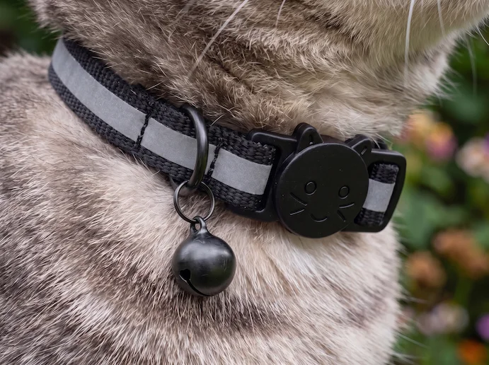 primer plano del localizador GPS para gatos Pet Finder 4G Mini en un gato